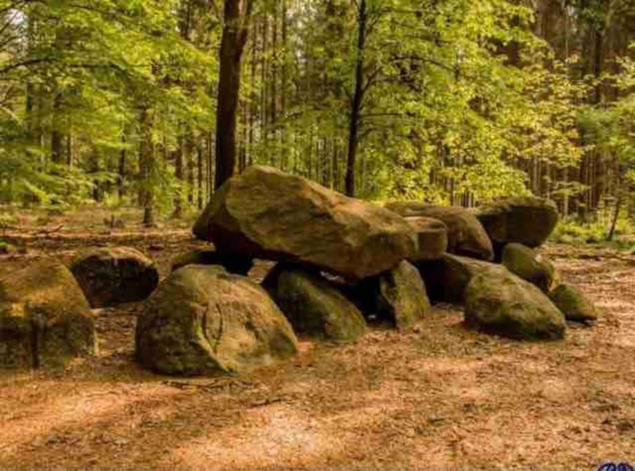 Chalet Midden In De Natuur! Anloo エクステリア 写真